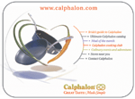 Calphalon - Rubbermaid